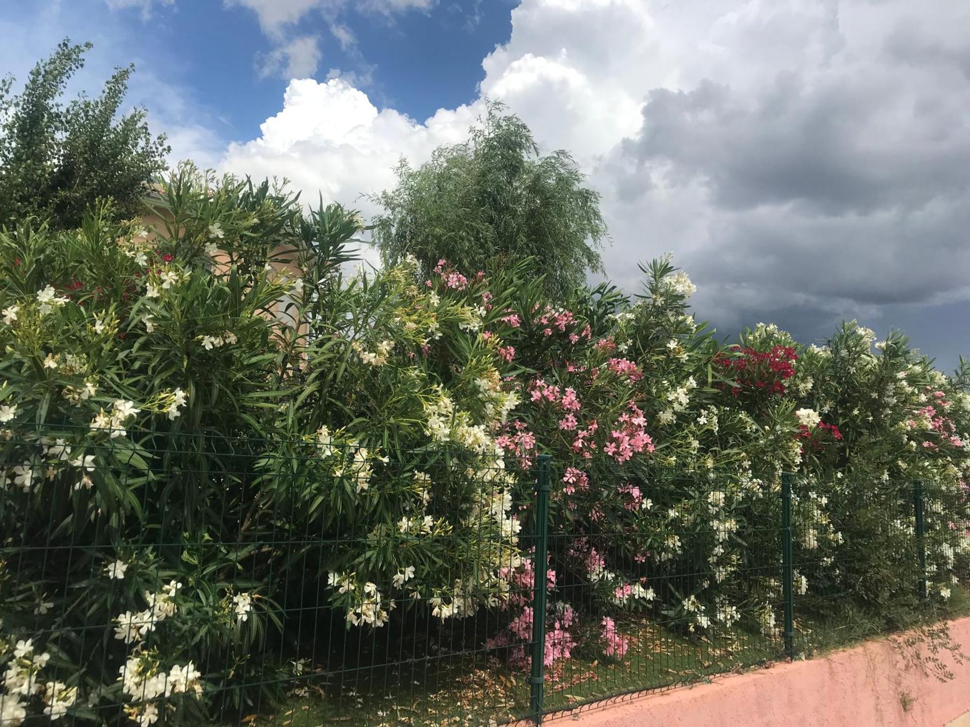 Moderne Mini Maison Lezignan-Corbieres Bagian luar foto