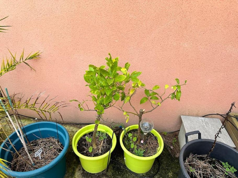 Moderne Mini Maison Lezignan-Corbieres Bagian luar foto