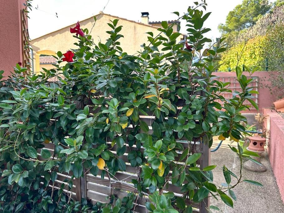 Moderne Mini Maison Lezignan-Corbieres Bagian luar foto