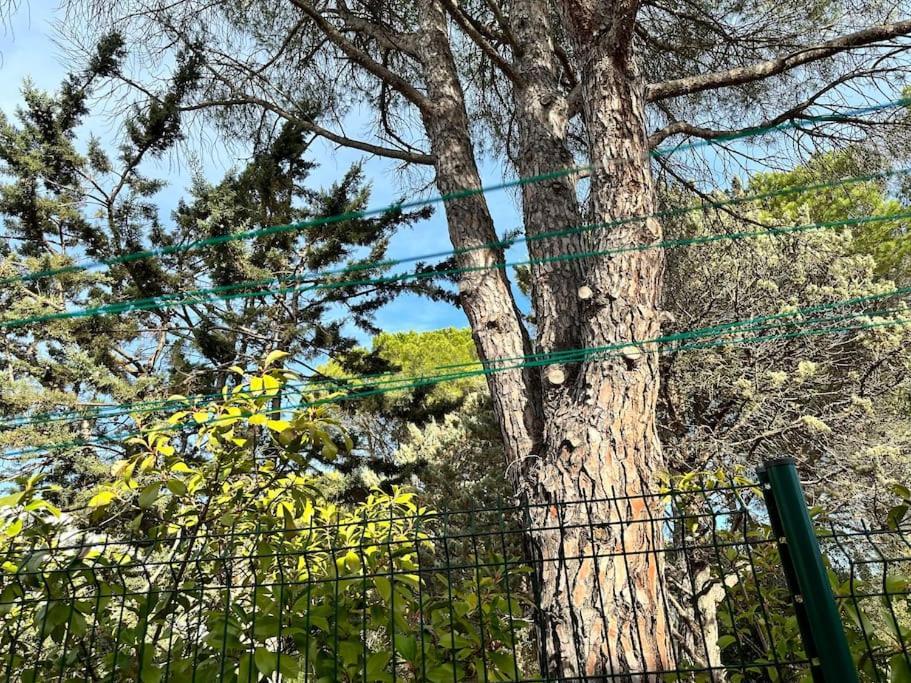 Moderne Mini Maison Lezignan-Corbieres Bagian luar foto