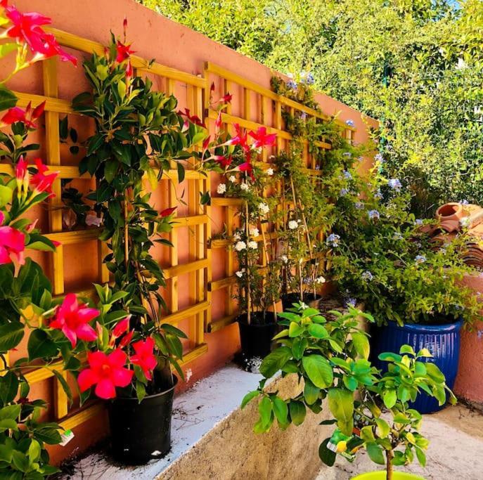 Moderne Mini Maison Lezignan-Corbieres Bagian luar foto