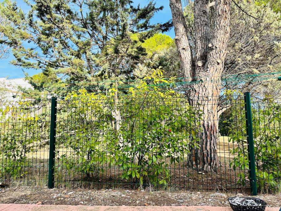 Moderne Mini Maison Lezignan-Corbieres Bagian luar foto