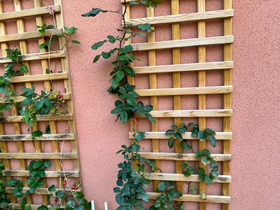 Moderne Mini Maison Lezignan-Corbieres Bagian luar foto