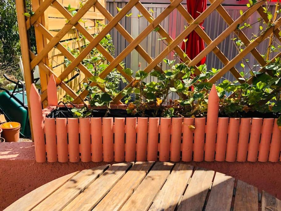 Moderne Mini Maison Lezignan-Corbieres Bagian luar foto