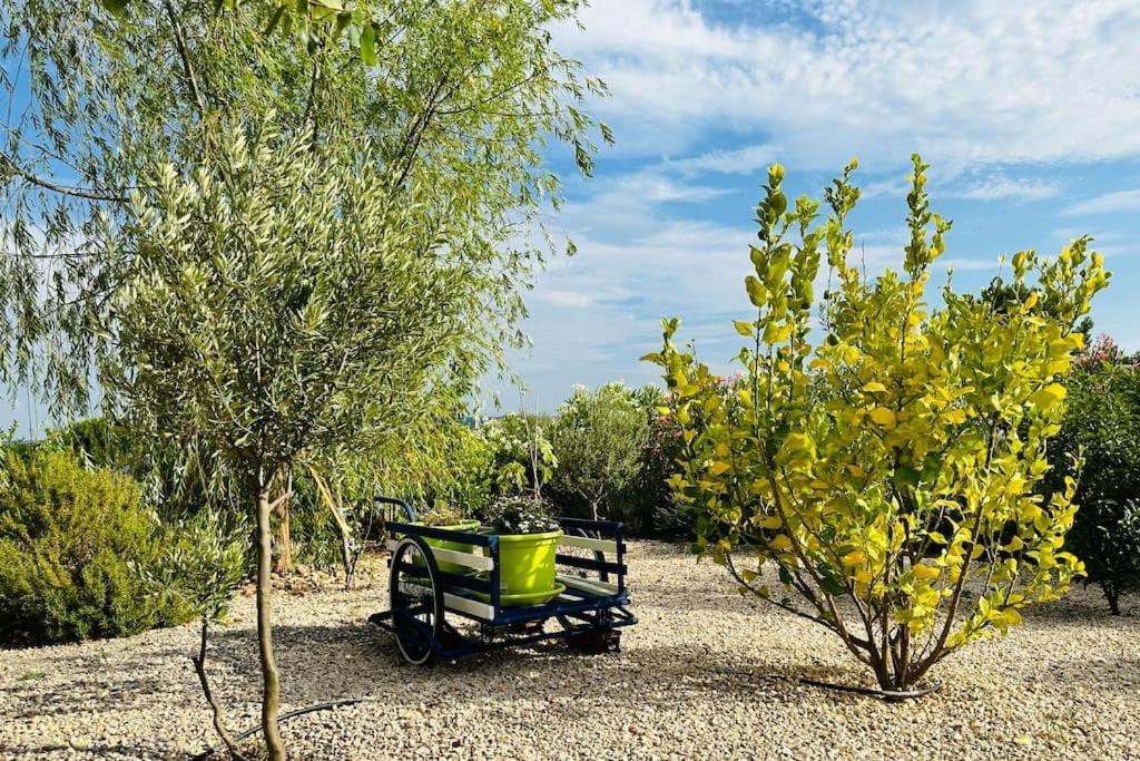 Moderne Mini Maison Lezignan-Corbieres Bagian luar foto